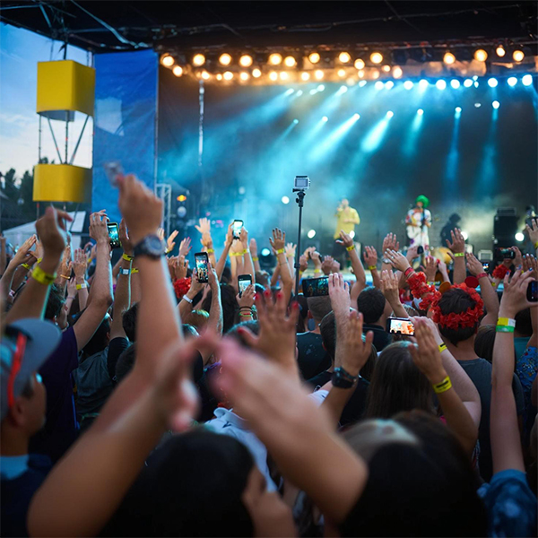 Disparo de la Palmera